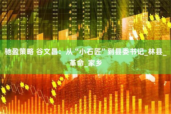 驰盈策略 谷文昌：从“小石匠”到县委书记_林县_革命_家乡