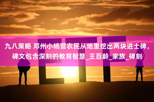 九八策略 邓州小杨营农民从地里挖出两块进士碑，碑文包含深刻的教育智慧_王百龄_家族_碑刻