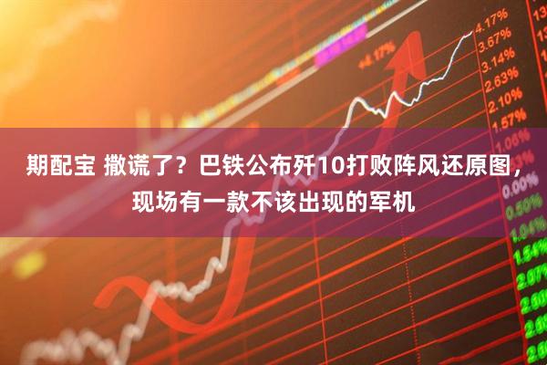 期配宝 撒谎了？巴铁公布歼10打败阵风还原图，现场有一款不该出现的军机
