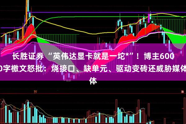 长胜证券 “英伟达显卡就是一坨*”！博主6000字檄文怒批：烧接口、缺单元、驱动变砖还威胁媒体
