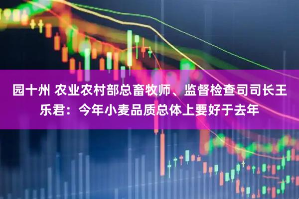 园十州 农业农村部总畜牧师、监督检查司司长王乐君：今年小麦品质总体上要好于去年