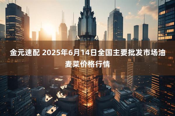 金元速配 2025年6月14日全国主要批发市场油麦菜价格行情