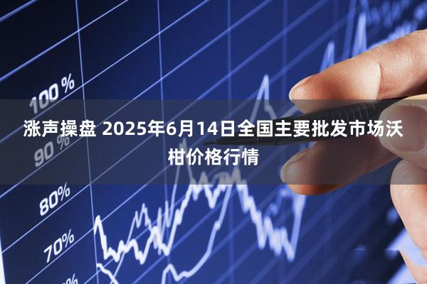 涨声操盘 2025年6月14日全国主要批发市场沃柑价格行情