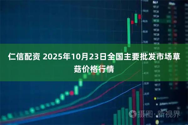仁信配资 2025年10月23日全国主要批发市场草菇价格行情