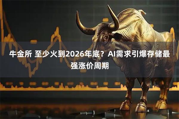 牛金所 至少火到2026年底？AI需求引爆存储最强涨价周期