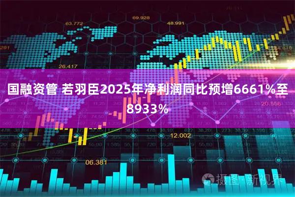 国融资管 若羽臣2025年净利润同比预增6661%至8933%